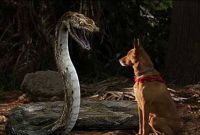   / Mega Python vs. Gatoroid (2011)