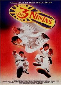  :   / 3 Ninjas Knuckle Up (1995)