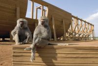 Эван Всемогущий / Evan Almighty (2007)