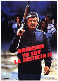   4:  / Death Wish 4: The Crackdown (1987)