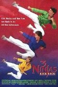 Три ниндзя наносят ответный удар / 3 Ninjas Kick Back (1994)