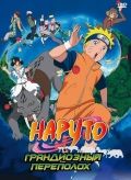  3:   / Gekijô-ban Naruto: Daikôfun! Mikazukijima no animaru panikku dattebayo! (2006)