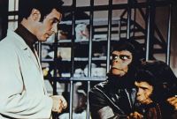     / Escape from the Planet of the Apes (1971)