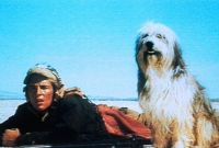     / A Boy and His Dog (1974)