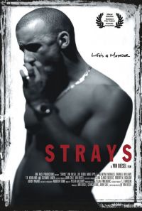  / Strays (1997)