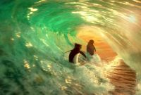  ! / Surf's Up (2007)
