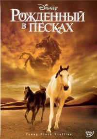    / The Young Black Stallion (2003)