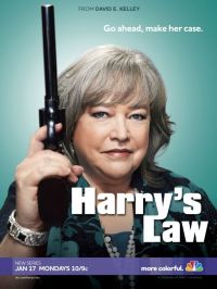   / Harry's Law (2011)