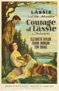   / Courage of Lassie (1946)