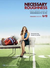   / Necessary Roughness (2011)