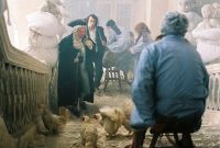 Безумие / Šílení (2005)