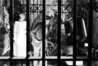   / Bride of Frankenstein (1935)