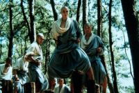 Американский Шаолинь / American Shaolin (1992)