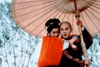  2 / Fong Sai Yuk juk jaap (1993)