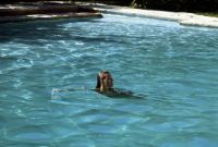  / La piscine (1969)