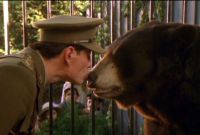     / A Bear Named Winnie (2004)