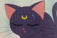 -     / Bishôjo senshi Sailor Moon Super S Special (1995)