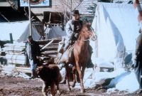   / The Call of the Wild: Dog of the Yukon (1997)