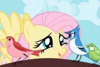  -   / My Little Pony: Friendship Is Magic (2010)