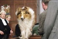  / Lassie (2005)
