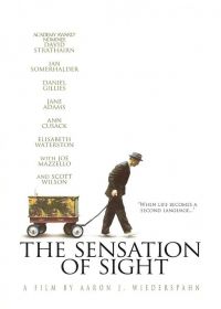   / The Sensation of Sight (2006)