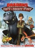   :    / Dragons: Gift of the Night Fury (2011)