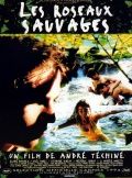   / Les roseaux sauvages (1994)