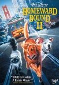 Дорога домой 2: Затерянные в Сан-Франциско / Homeward Bound II: Lost in San Francisco (1996) Дорога домой 2: Затерянные в Сан-Франциско / Homeward Bound II: Lost in San Francisco (1996)