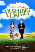    / Pushing Daisies (2007)