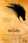   / The Black Stallion (1979)