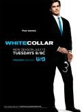   / White Collar (2009)