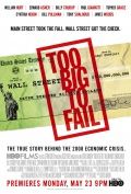     / Too Big to Fail (2011)