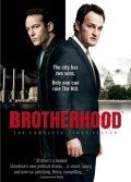  / Brotherhood (2006)