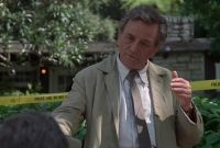:     / Columbo: Butterfly in Shades of Grey (1993)