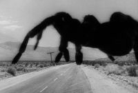  / Tarantula (1955)