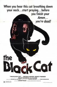   / Black Cat (1981)