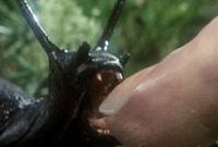  / Slugs, muerte viscosa (1988)